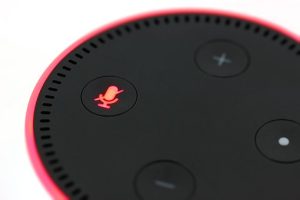 alexa not working